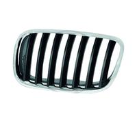 Grille de calandre avant gauche pour Bmw x5 E70 (02/2006-06/2013)