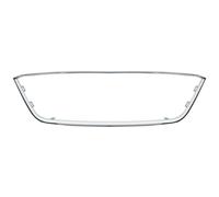 BLIC 6502-07-6622995P Cadre, grille de radiateur