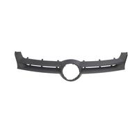 Grille de radiateur BLIC 6502-07-9524990PP