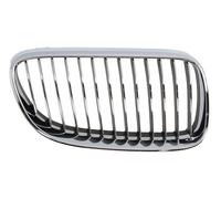BLIC 6502-07-0067997BP Grille de calandre