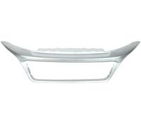 BLIC 6502-07-2098994P Baguette et bande protectrice, grille de radiateur