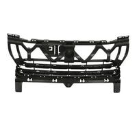 BLIC 6502-07-5721915P Grille de ventilation, pare-chocs