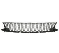 Grille de pare-chocs Avant du véhicule 6502-07-8171915P BLIC
