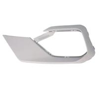 Grille de pare-chocs avant gauche 6502-07-2567993P BLIC pour FORD FIESTA VII