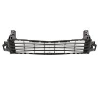 Grille De Pare-Chocs Compatible Avec: CITROEN C-ELYSEE 11.16-