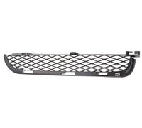 Grille de phare antibrouillard de voiture 1 paire pour BMW X5 E53 20042006 Facelift voiture pour avant inférieur calandre gauche + droite antibrouillard pare-chocs Grilles(1Pair)