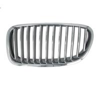 Grille de radiateu BLIC 6502-07-0067996P pour BMW 5 (F10) 2 2010-2014