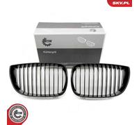 Grille De Radiateur Bilatérale Pour BMW 1