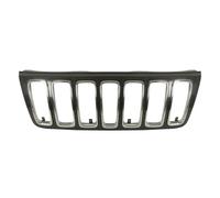 Grille de radiateur BLIC 5601-00-3204995P