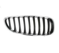 BLIC 6502-07-0089996P Grille de calandre