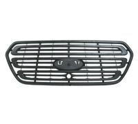 Grille De Radiateur BLIC 6502-07-2518990P Pour FORD
