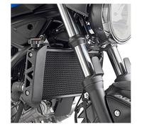 Grille de radiateur Givi INOX