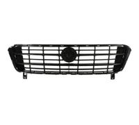 Grille De Radiateur Noire Pour Fiat Ducato Pritsche/Fahrgestell