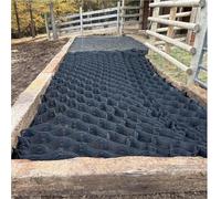 Grille de stabilisation de chemin de gravier - 300 cm x 5 m - Pour allées, aménagement paysager et chemins extérieurs - Solution de soutien au sol robuste