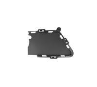 Grille de ventilation, pare-chocs BLIC 6502-07-0063914PM droite