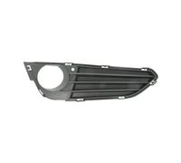 BLIC 6502-07-0069916P Grille de ventilation, pare-chocs