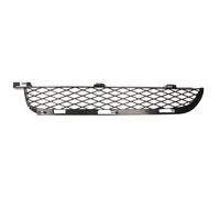 BLIC 6502-07-0095912P Grille de ventilation, pare-chocs