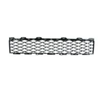 Grille de ventilation, pare-chocs BLIC 6502-07-2013910PL