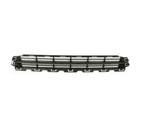 Grille de ventilation, pare-chocs BLIC 6502-07-2555993P