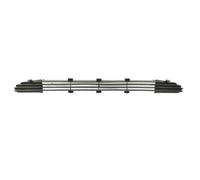 Grille de ventilation, pare-chocs BLIC 6502-07-2563995P