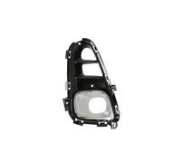 BLIC 6502-07-3271991P Grille de ventilation, pare-chocs