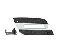 Grille de ventilation, pare-chocs BLIC 6502-07-3538916P droite