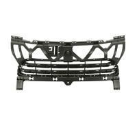BLIC 6502-07-5721916PP Grille de ventilation, pare-chocs