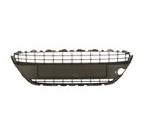 Grille de ventilation, pare-chocs BLIC 6509-01-2565995P