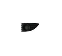 Grille Gauche Avant pour Fluence à Partir De 2009 Sans Trou antibrouillard