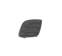 Grille Gauche Avant pour Rav 4 2009-2010 No Trou antibrouillard 521280R020
