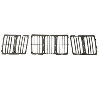Grille de radiateur BLIC 6502-07-2593994P