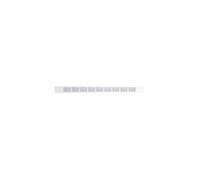Renson Grille plate intérieure simple 11938 275×20 mm blanc