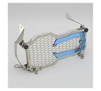 Grille Protection Des Phares Moto Pour BMW R 1250 GS 1250GS ADV Adventure 2018-2021 R1250GS ADV Phare Garde Grille(Stainless steel B)