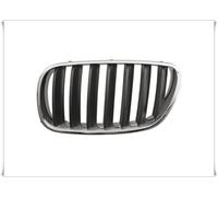 PRASCO BM8032004 Grille de calandre