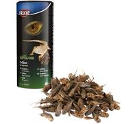 Grillons - Complément nutritionnel - Iguane - Riche en protéines - Moins de 1 kg - Petit animal