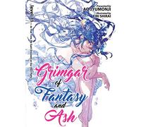 Grimgar of Fantasy and Ash (Light Novel) Vol. 11