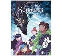 Grimoires Et Sorcières - Tome 2 - Le Fantôme Et Le Dragon Volé