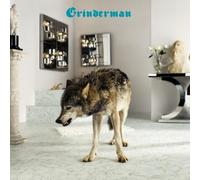 Grinderman 2 [解説付/ボーナストラック2曲収録/国内盤] (BRC274)