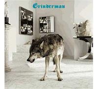 Grinderman 2