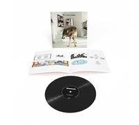 Grinderman - Grinderman - Grinderman 2