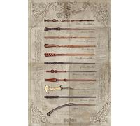 Grindstore Maxi poster plastifié Harry Potter La baguette choisit le magicien