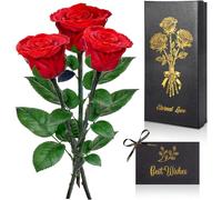 GRIRDDIV Eternelle Cadeau pour Femmes, Rose Eternelle Cadeau Fleurs Préservées en Coffret Anniversaire et Fêtes, Cadeau Saint Valentin pour Femme, Maman Épouse Sœur,Anniversaire Femme