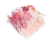 GRIRIW 1 Ensemble Fleur Séchée Immortalité Fleurs Séchées Miniatures Vraies Fleurs Pressées Séchées Fleurs Sechees Décoration Ongles Nail Art Décoration Maison Fleur Pressée Plante Rose