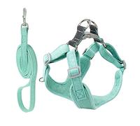 GRIRIW 1ensemble Ajustable pour Chien avec Laisse Réfléchissante De Deux pour Petits Chiens Accessoire Pratique Et pour Extérieur Verte