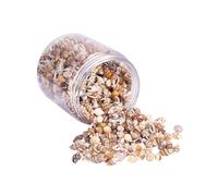 GRIRIW Boîte de Coquillages Naturels pour Décoration Aquarium Coquillage Petit Conque pour Projets Art Décoration