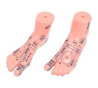 GRIRIW de Pied à Points D'acupuncture Modèle pour Massage Réflexologie Plantaire en Pvc Solide Expérience Visuelle Réaliste, pour École D'infirmiers et Étudiants
