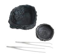 GRIRIW Kit Aquarium pour Dragon Barbu Grand Bol à Eau pour Reptiles Bol à Reptiles Plat à Eau Plat à Nourriture pour Pinces à Nourriture pour Tortue