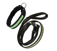 GRIRIW Laisse Lumineuse pour Chien Et Chat Laisse LED Glissante Sécurisée pour Promenade Nocturne Confortable Et Collier Et Verte