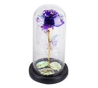 GRIRIW Lampe LED Rose Artificielle sous Verre Décoration Verre Transparent Veilleuse Romantique Saint-Valentin pour Bureau et Maison Lampe à Fleurs