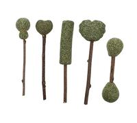 GRIRIW Lot de 5 Sucettes Comestibles Naturelles à l'herbe à Chat Friandises pour Sticks à Mâcher Collations Nettoyage des Dents et Délicieuses
